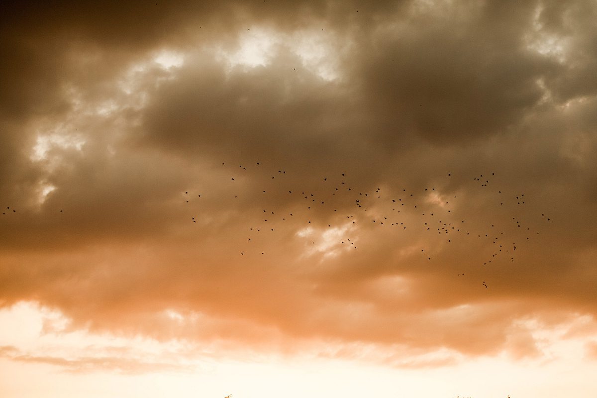 Naomi-Kenton-Photography_0825