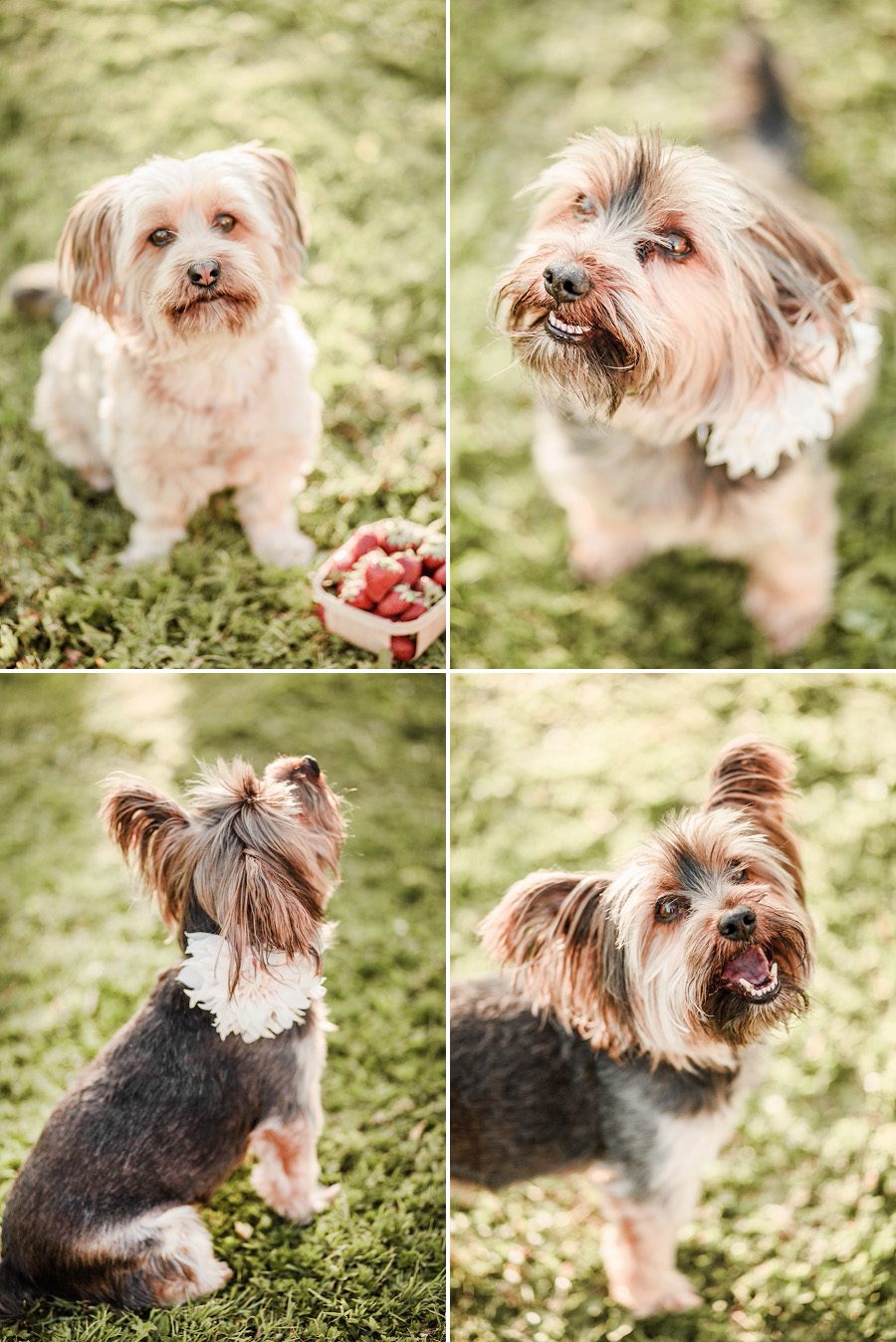 Naomi-Kenton-Photography_0478