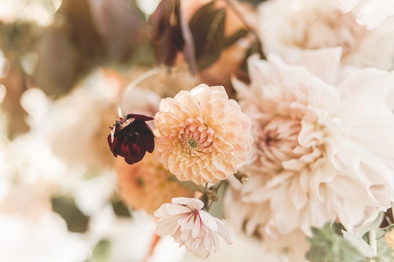 naomi-kenton-photography_0051