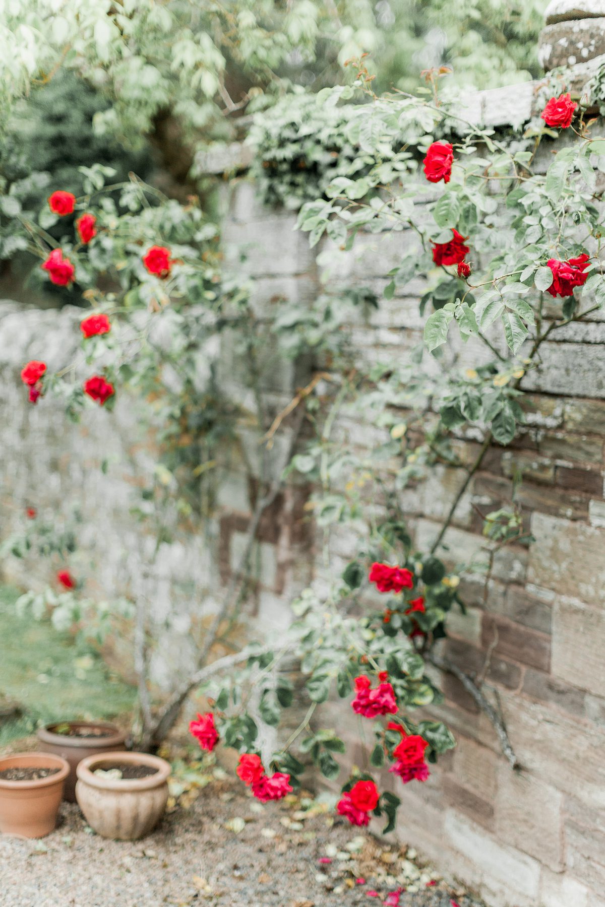 Naomi-Kenton-Photography_0273