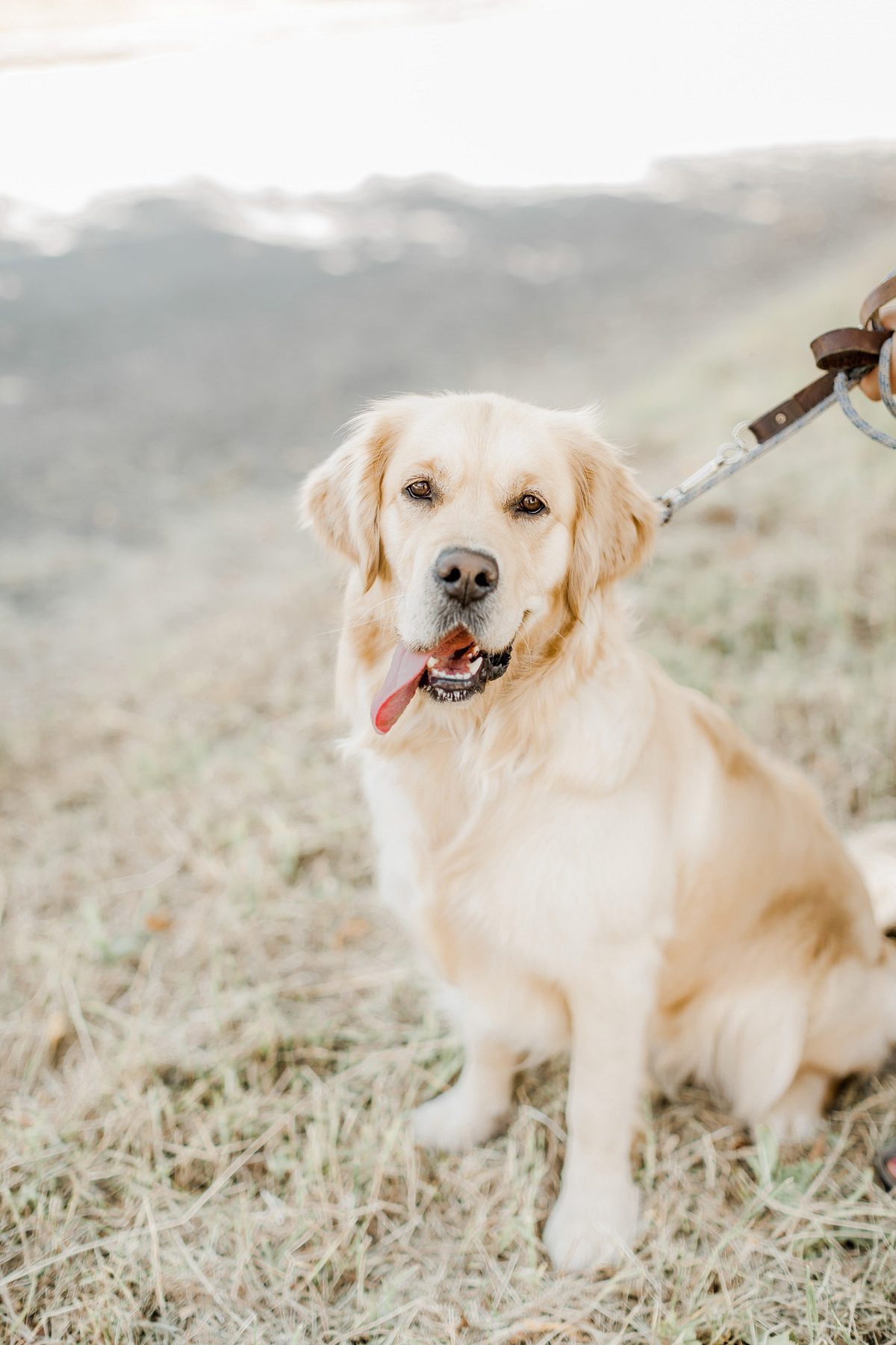 Naomi-Kenton-Photography_0429