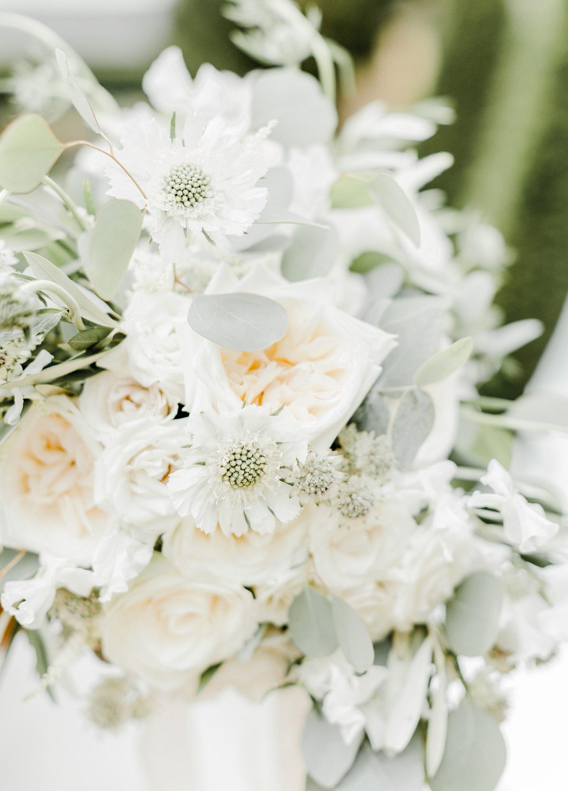 Naomi-Kenton-Photography_0551